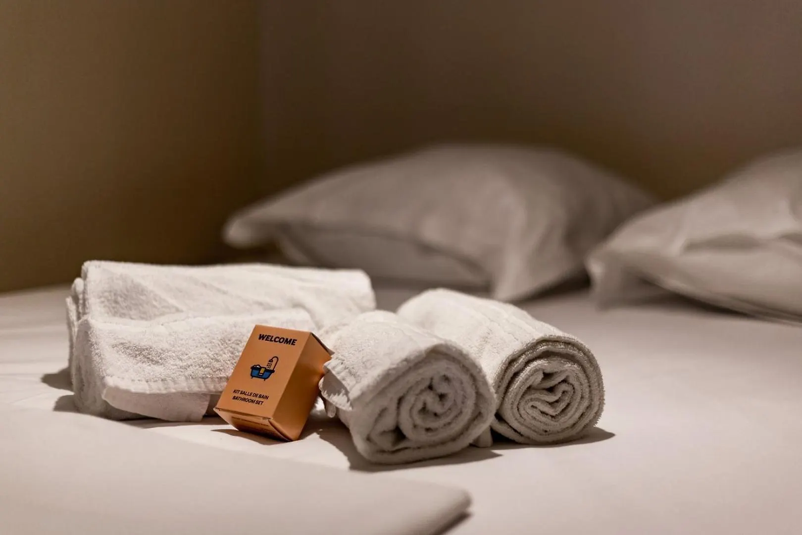 Cosy Entierement Renove Idealement Place Ail Lyon Apartment